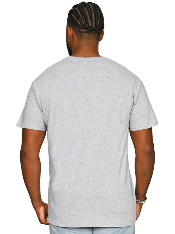 Casual Classics Core Organic Combed 180 Regular Fit Tee Adult
