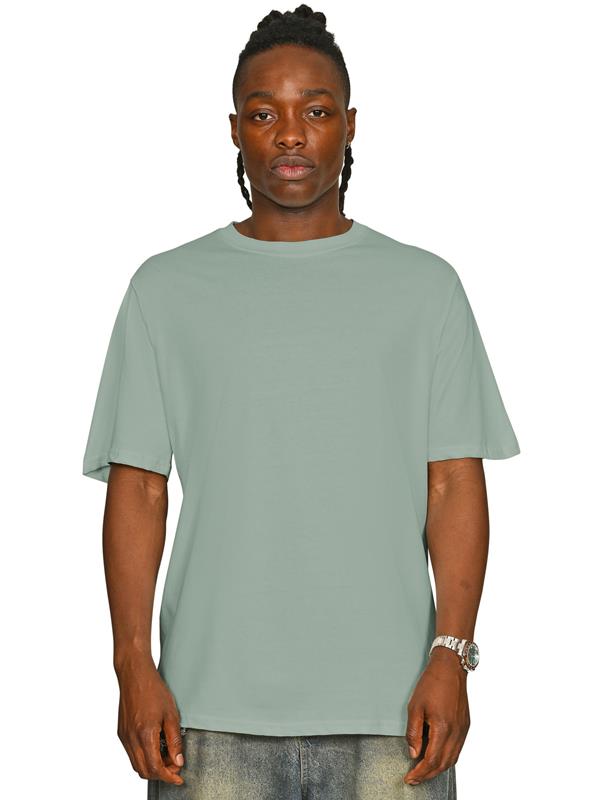 Casual Classics Core Organic Combed 180 Regular Fit Tee Tall Adult