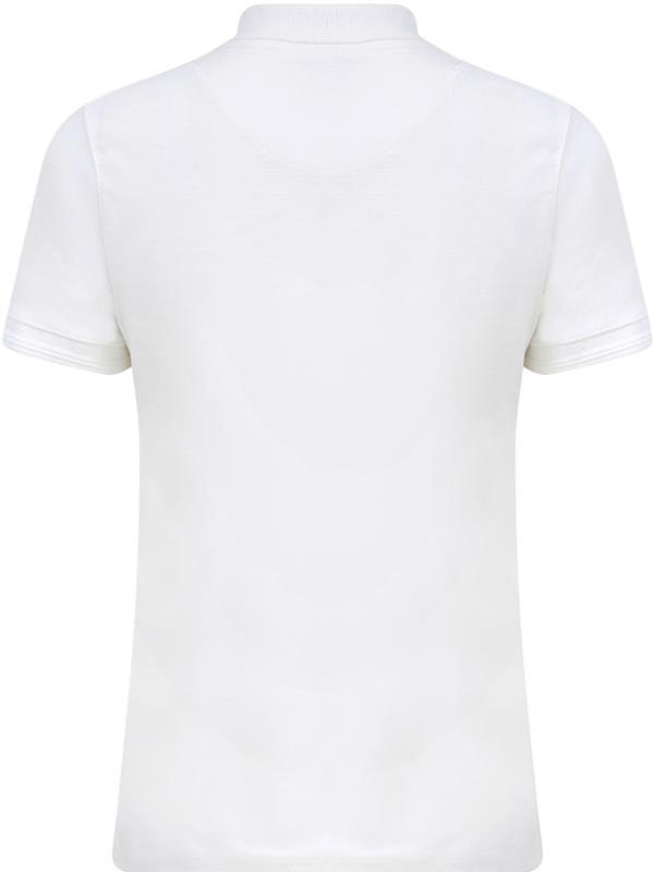 Absolute Apparel Diva Ringspun 240 Classic Fit Polo Ladies