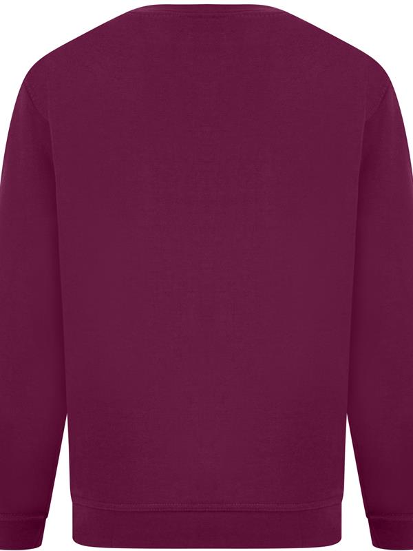 Absolute Apparel Sterling Ringspun 300 Classic Fit Sweat Adult