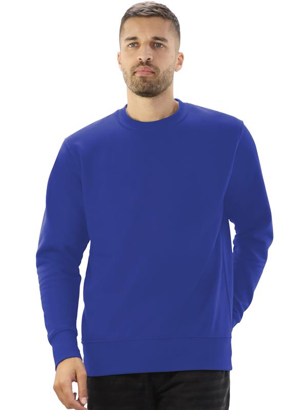 Absolute Apparel Sterling Ringspun 300 Classic Fit Sweat Adult