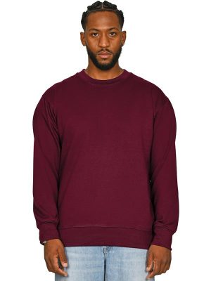 Casual Classics Core Combed 280 Regular Fit Sweat Adult - Image 15