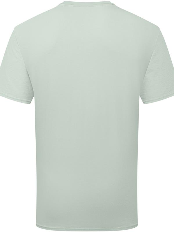 Fruit Of The Loom Pure Cotton Combed 180 Regular Fit Tee Adult