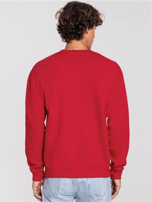 Fruit Of The Loom Iconic Premium Combed 300 Regular Fit Set In Sweat Adult - Image 45