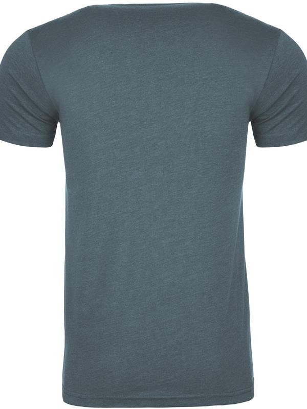 Next Level Apparel CVC Combed 145 Regular Fit Tee Adult